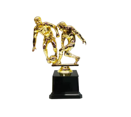 גביע כדורגל לטורניר אליפות