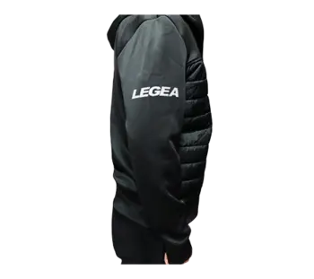 ג'קט לפוניה